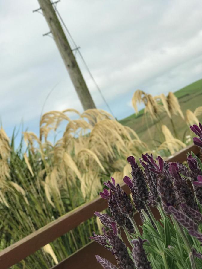 Lodge Cabin With Fabulous Views - Farm Holiday Stranraer Buitenkant foto